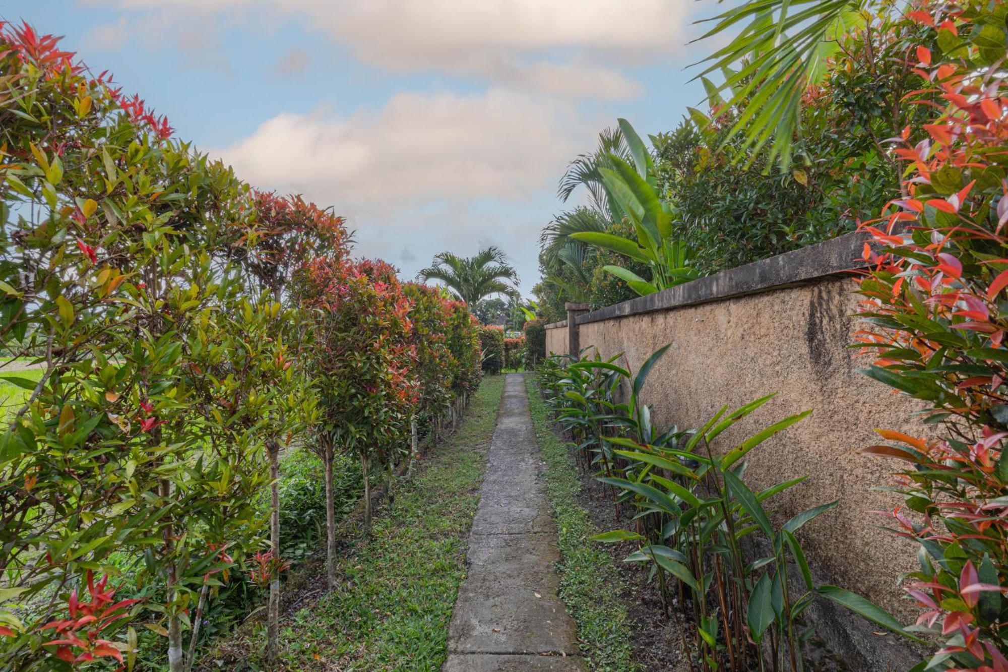 Niluh Private Villa Ubud (Bali)
