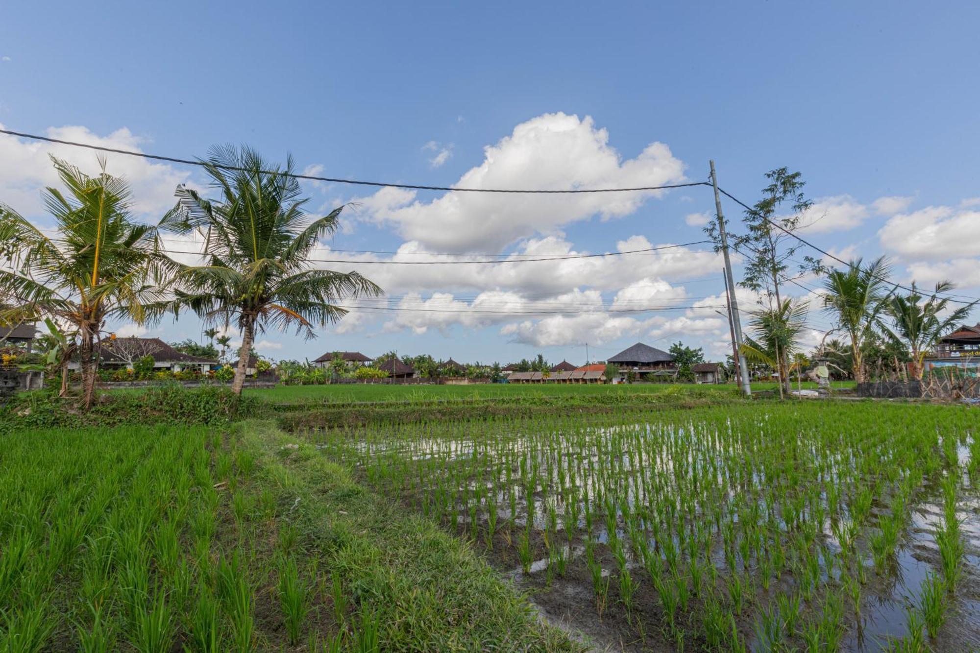 Villa Niluh Private
